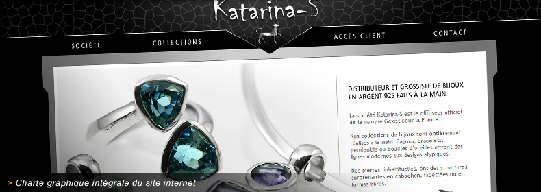 Habillage graphique du site internet de Katarina-S