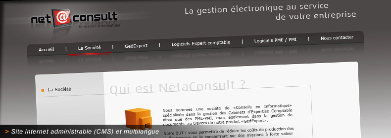 Site internet de NetaConsult