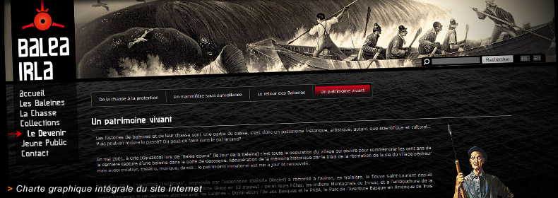 Habillage graphique du site internet de Balea Irla