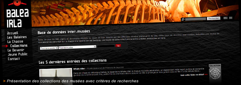 Habillage graphique du site internet de Balea Irla