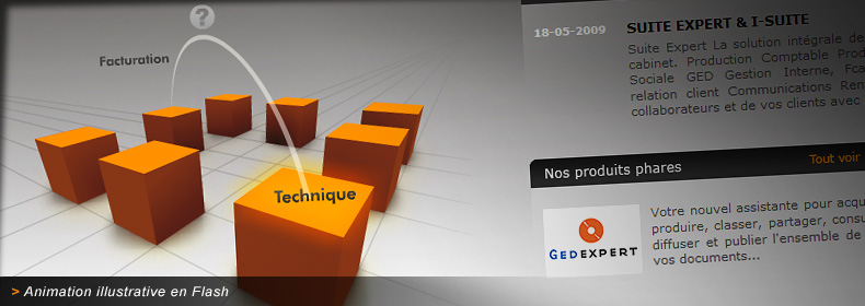 Animations illustratives de Netaconsult