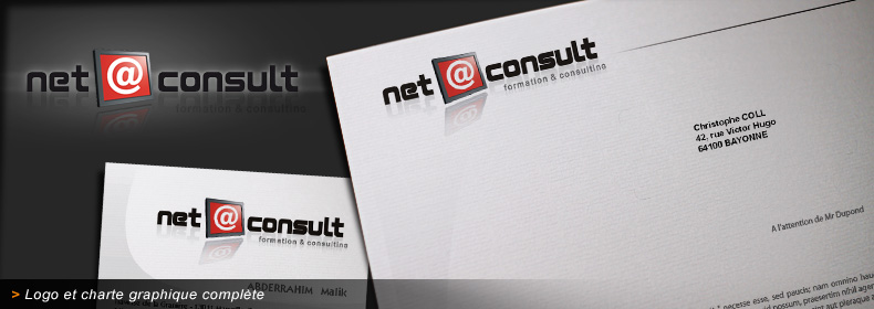 Logo et charte graphique de Netaconsult